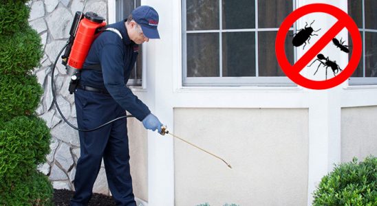 Horasan Hamam Böceği İlaçlama böcek ilaçlama ve haşere kontrolü — ilaclama-tr.com